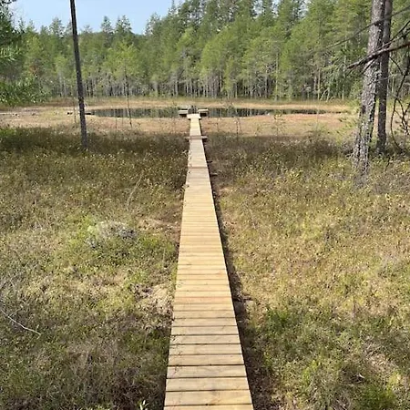 Karhurinne Koli Hattusaari