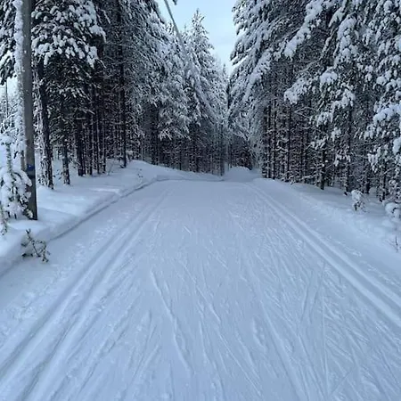 Karhurinne Koli Loma-asunnot
