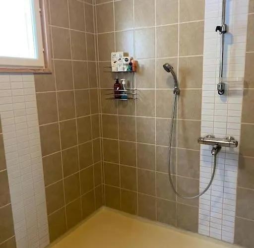 Karhurinne Koli 度假居