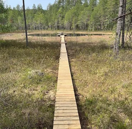 Karhurinne Koli Hattusaari