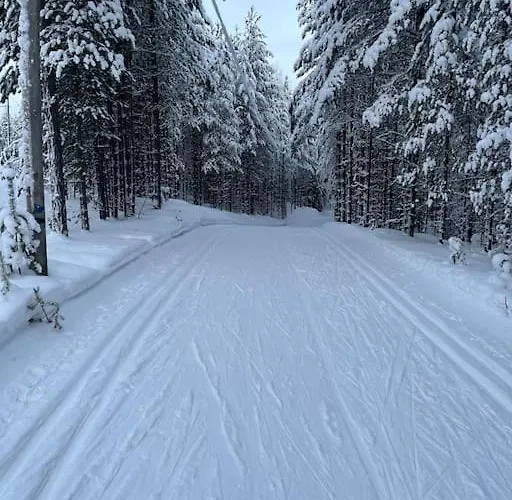Karhurinne Koli 度假居