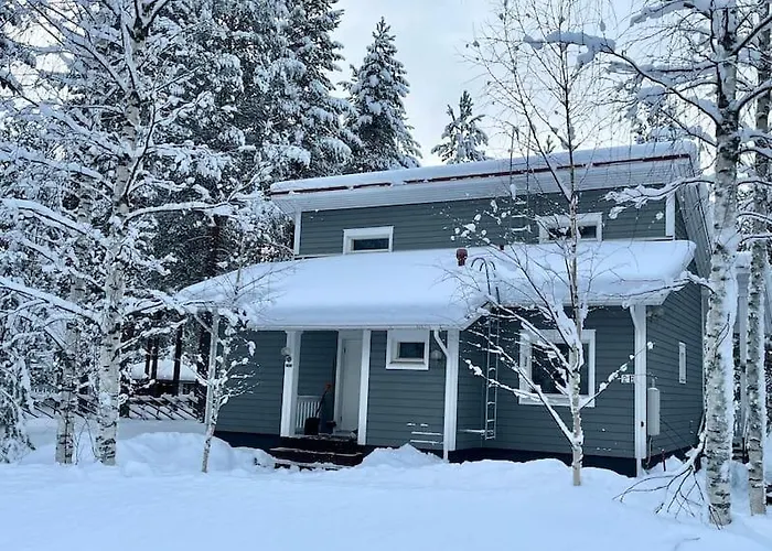 Karhurinne Koli Tatil Evi *